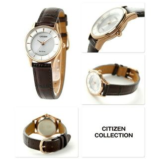 シチズン(CITIZEN)の【新品】シチズン CITIZEN 腕時計 レディース EM0402-05A CITIZEN COLLECTION エコ・ドライブ（E031） シルバーxブラウン アナログ表示(腕時計)