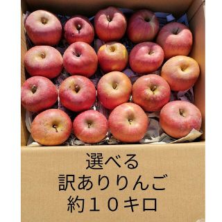 本州、四国宛配送限定　信州産　選べる訳ありりんご　約10キロ(フルーツ)