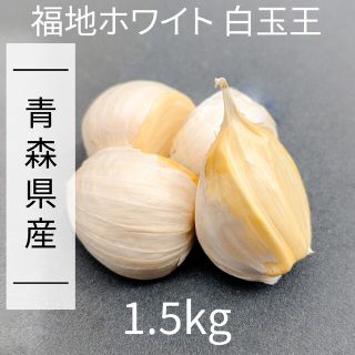 にんにく 【青森県産】福地ホワイト六片 1.5kg 産直野菜(野菜)