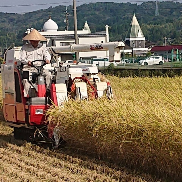 ✳️富山県産1等米コシヒカリ白米お試し✳️2合＋3合 食品/飲料/酒の食品(米/穀物)の商品写真