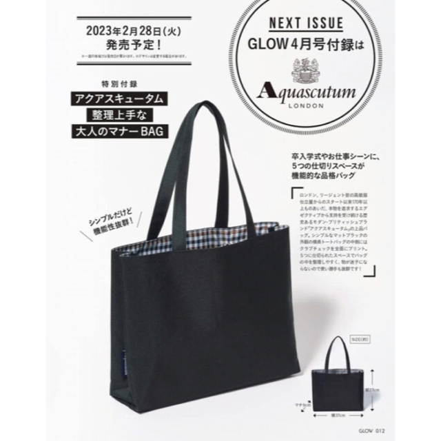 AQUA SCUTUM(アクアスキュータム)のGLOW4月号付録 Aquascutum 整理上手な大人のマナーBAG   レディースのバッグ(トートバッグ)の商品写真