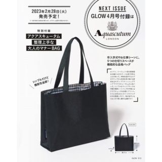 アクアスキュータム(AQUA SCUTUM)のGLOW4月号付録 Aquascutum 整理上手な大人のマナーBAG  (トートバッグ)