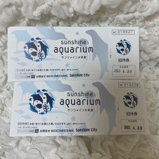 サンシャイン水族館入場券ペア(水族館)