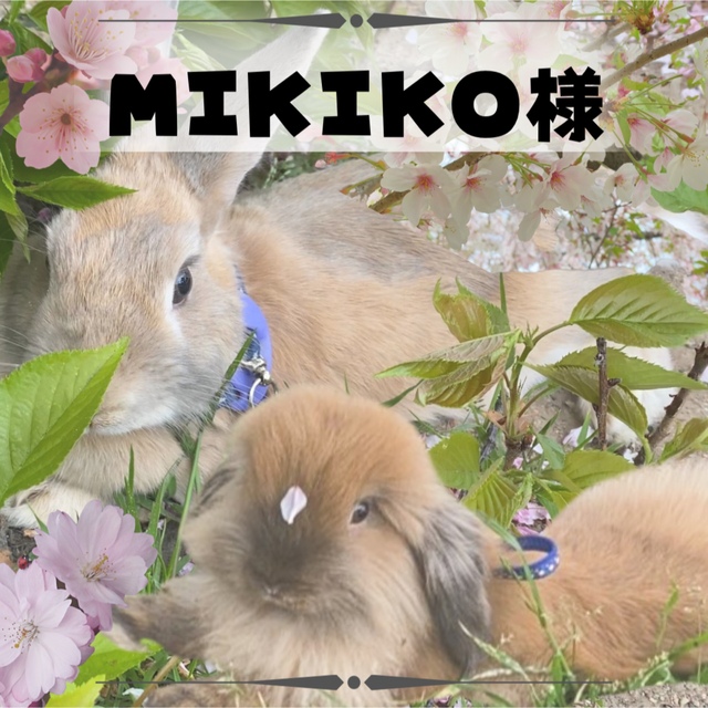 MIKIKO様専用 クリスマスツリー特価! www.phonesoap.babybrezza.is