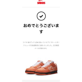 ナイキ(NIKE)のNIKE SB(スニーカー)