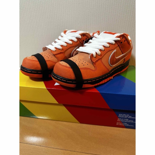 ランキング上位のプレゼント NIKE - コンセプツ × ナイキ SB ダンク