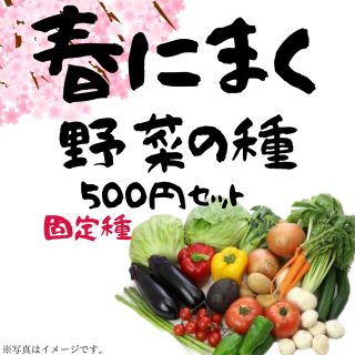 春にまく野菜の種セット　500円【2023年　春】(その他)