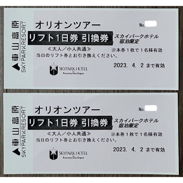 車山高原 SKYPARKスキー場 リフト券 １日券 2枚 土日祝OK 4/2迄