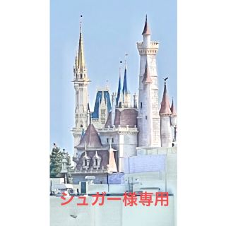 ディズニー(Disney)のステラルー　コスチューム　winter(ぬいぐるみ)