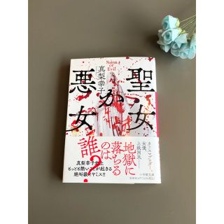 真梨幸子　　聖女か悪女(文学/小説)