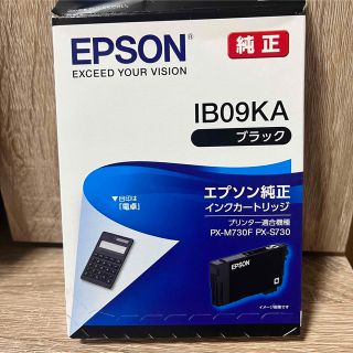 EPSON インクカートリッジ ブラック IB09KA(その他)