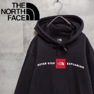 ザノースフェイス(THE NORTH FACE)のTHE NORTH FACE メンズ裏起毛パーカー M相当 アウトドア キャンプ(パーカー)