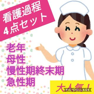 看護過程♡4点セット  看護師国家試験 看護過程　母性　老年　急性期　慢性終末期(語学/参考書)