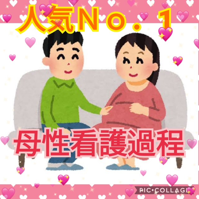 人気No.1！！母性看護学実習 看護過程　看護師 エンタメ/ホビーの本(語学/参考書)の商品写真