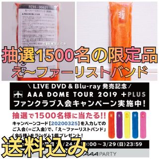 トリプルエー(AAA)の【商品説明欄必読】抽選１５００名限定 AAA え〜ファーリストバンド 橙(ミュージシャン)