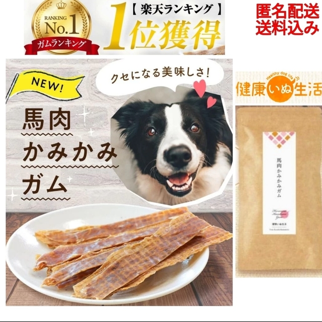 【健康いぬ生活】 馬肉かみかみガム レギュラーサイズ ×１袋 その他のペット用品(ペットフード)の商品写真