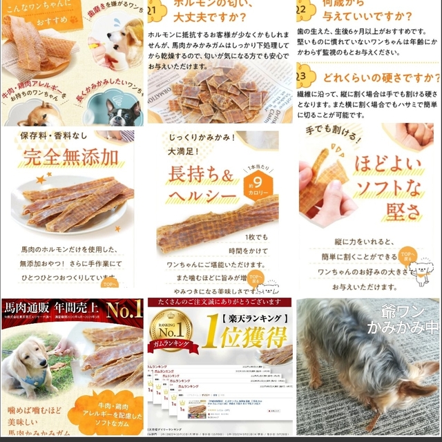 【健康いぬ生活】 馬肉かみかみガム レギュラーサイズ ×１袋 その他のペット用品(ペットフード)の商品写真