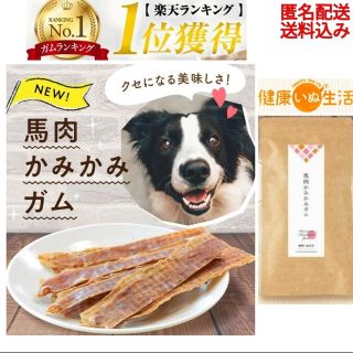 【健康いぬ生活】 馬肉かみかみガム レギュラーサイズ ×１袋(ペットフード)