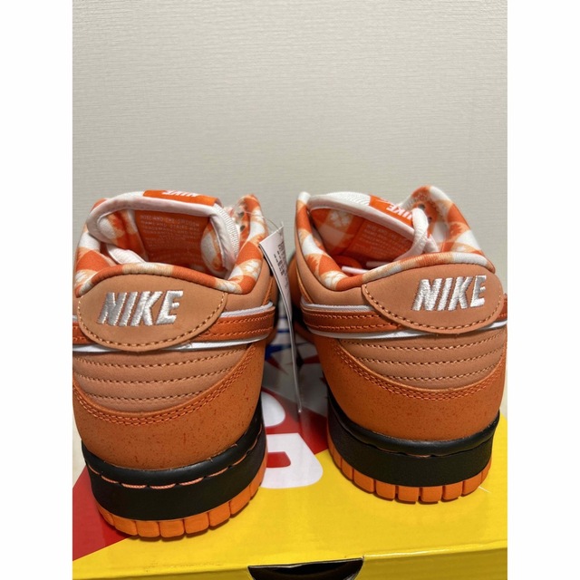 NIKE(ナイキ)のNike SB Dunk Low オレンジロブスター メンズの靴/シューズ(スニーカー)の商品写真