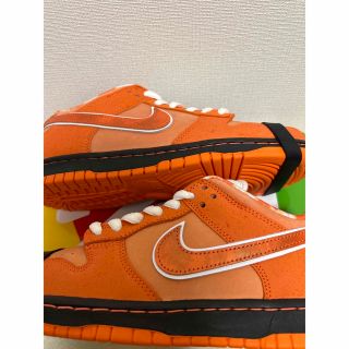 ナイキ(NIKE)のNike SB Dunk Low オレンジロブスター(スニーカー)