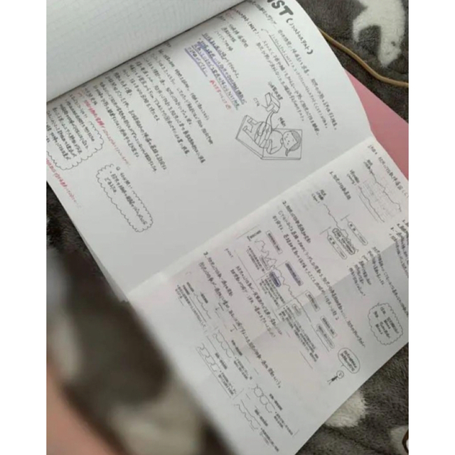 お得♡♡母性実習セット 母性 事前学習+看護過程 | visitsantaflavia.it