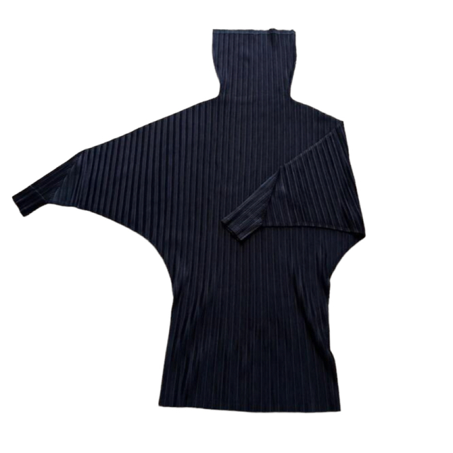 PLEATS PLEASE ISSEY MIYAKE(プリーツプリーズイッセイミヤケ)のプリーツプリーズ リブプリーツ　チュニック　ハイネック　タートルネック　長袖 レディースのトップス(カットソー(長袖/七分))の商品写真