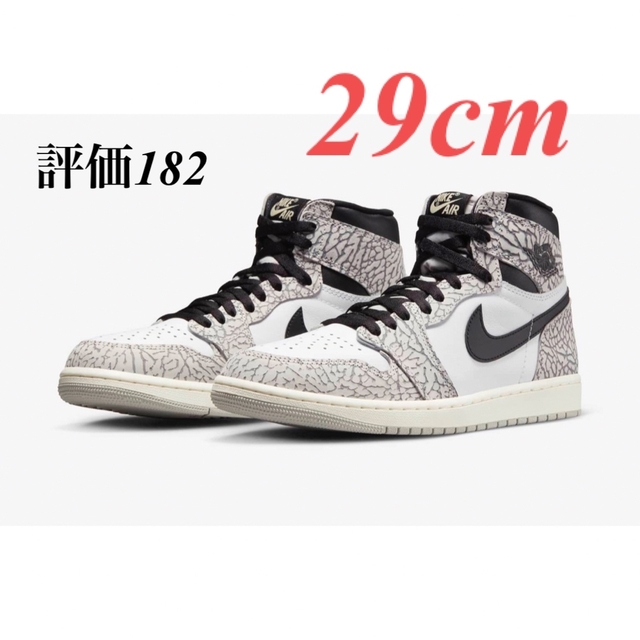 Nike Air Jordan 1 High  White Cement 29
