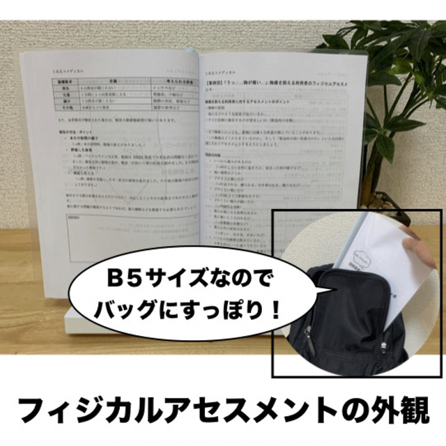 【３冊セット】訪問看護報告書・計画書のルールと記載例＋フィジカルアセスメント集