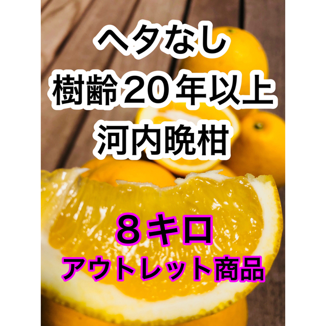 訳あり河内晩柑　アウトレット　樹齢20年　美生柑　和製グレープフルーツ　味濃いめ 食品/飲料/酒の食品(フルーツ)の商品写真