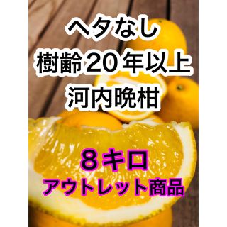 訳あり河内晩柑　アウトレット　樹齢20年　美生柑　和製グレープフルーツ　味濃いめ(フルーツ)