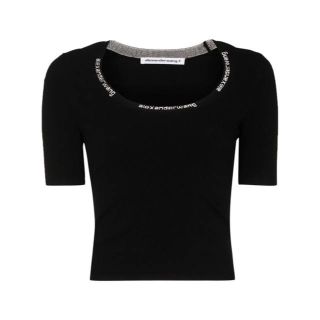 アレキサンダーワン(Alexander Wang)のロゴ　Tシャツ　alexander wang(Tシャツ(半袖/袖なし))