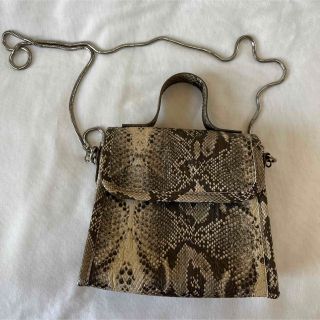 ザヴァージンズ(the Virgins)のEDT 2way mini shoulder python(ショルダーバッグ)