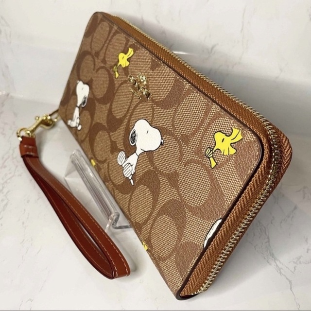 COACH - 大人気【COACH × PEANUTS】 スヌーピー &ウッドストック長