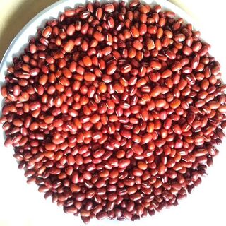 2022年 北海道オホーツク栽培最高品質小豆エリモ（こうりん）900g(野菜)