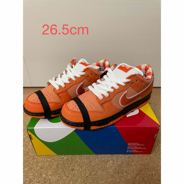 NIKE(ナイキ)のNike SB Dunk Low SP Orange Lobster メンズの靴/シューズ(スニーカー)の商品写真