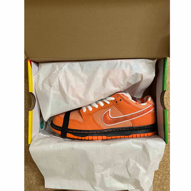 NIKE(ナイキ)のNike SB Dunk Low SP Orange Lobster メンズの靴/シューズ(スニーカー)の商品写真