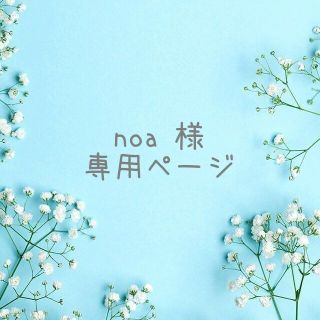 noa 様 専用ページ(外出用品)