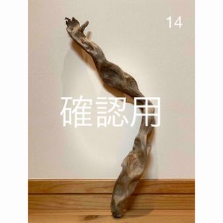 流木【14】(置物)