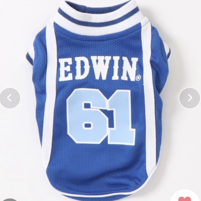 EDWIN(エドウィン)のEDWIN メッシュタンク　L その他のペット用品(犬)の商品写真