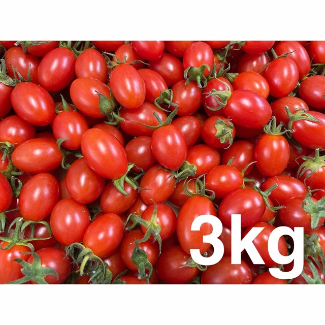 熊本産ミニトマト アイコ3kg 食品/飲料/酒の食品(野菜)の商品写真