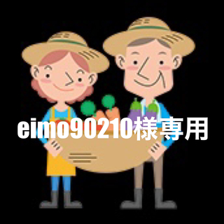 eimo90210様専用 淡路島産新玉ねぎ 3kg スーパーアップ 農薬不使用 (野菜)