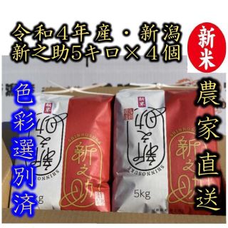 新米・令和4年産　新潟　新之助　白米5kg × 4個★農家直送★色彩選別済03(米/穀物)