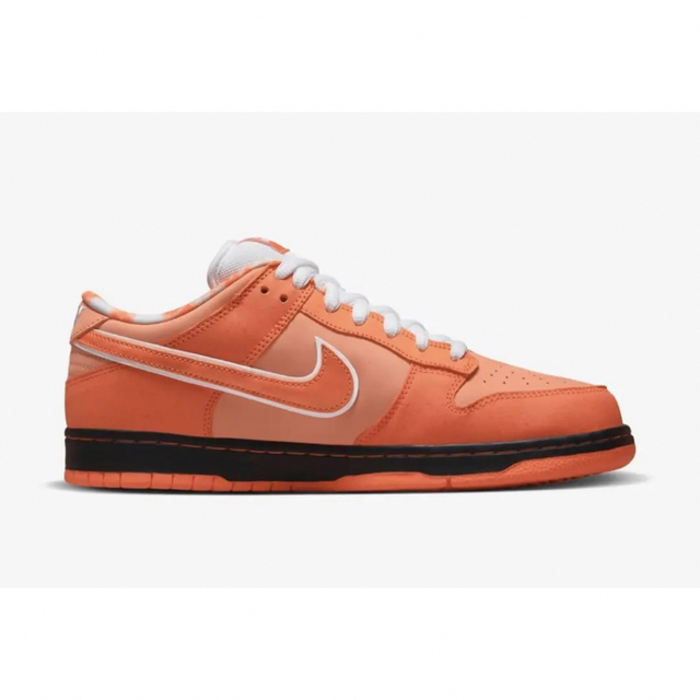 NIKE SB DUNK LOW OG Concepts 25.5cm