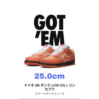 ナイキ(NIKE)のナイキ　SB ダンク LOW  × Concepts 25.0dunk(スニーカー)