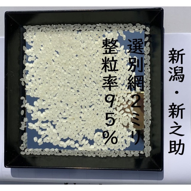 新米・令和4年産　新潟　新之助　白米5kg × 1個★農家直送★色彩選別済03 食品/飲料/酒の食品(米/穀物)の商品写真