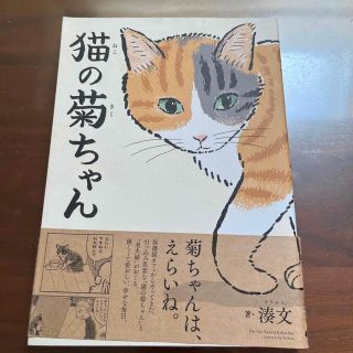 猫の菊ちゃん　(その他)