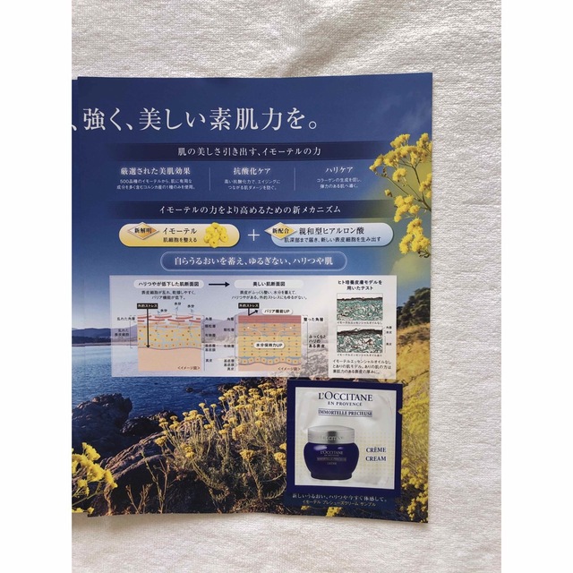 L'OCCITANE(ロクシタン)のL'OCCITANEサンプルセット コスメ/美容のキット/セット(サンプル/トライアルキット)の商品写真