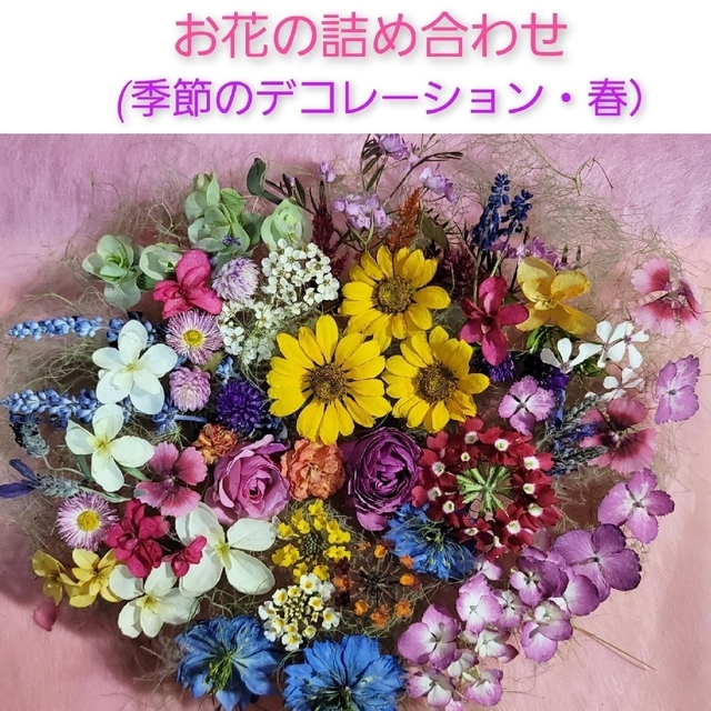 ドライフラワー花材(季節のデコレーション・春) ハンドメイドの素材/材料(その他)の商品写真