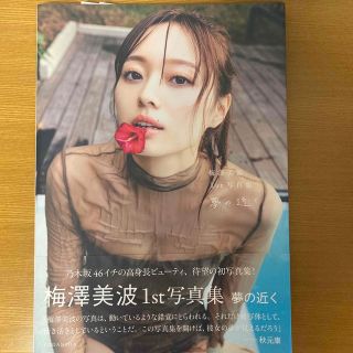 ノギザカフォーティーシックス(乃木坂46)の夢の近く 梅澤美波１ｓｔ写真集(その他)