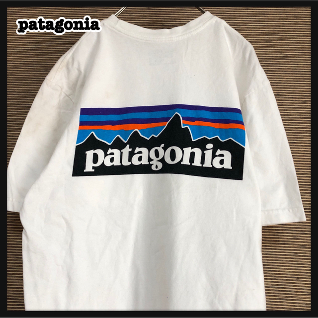 おまとめ割適応価格限定！PatagoniaパタゴニアTシャツメンズS